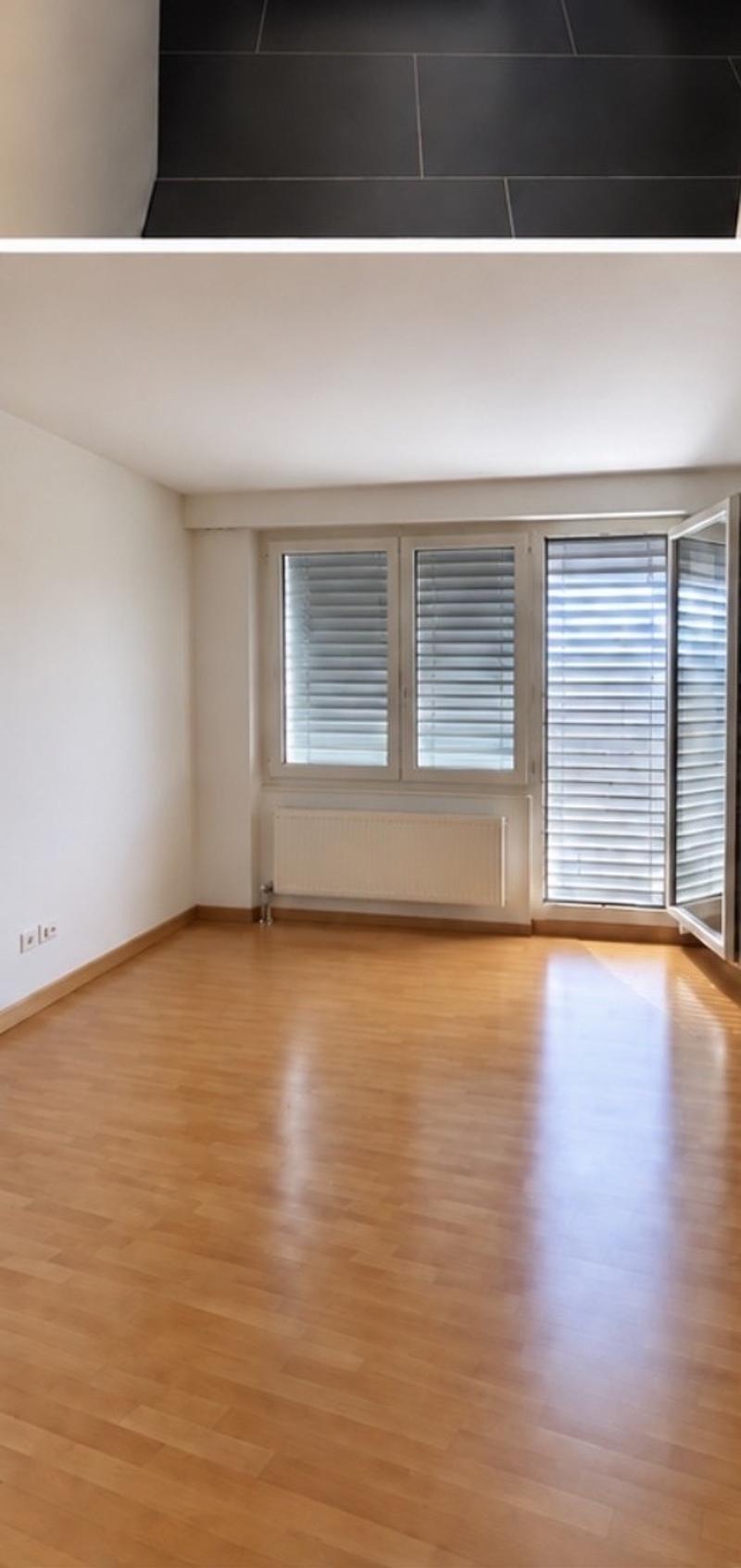 Nachmieter/in gesucht kleine, herzige 1-Zimmer-Wohnung mit Balkon in Zürich (3)