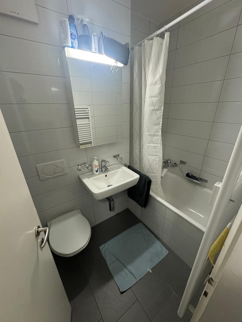 Zentrale Wohnung (4)