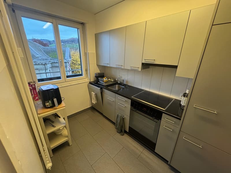 Zentrale Wohnung (3)