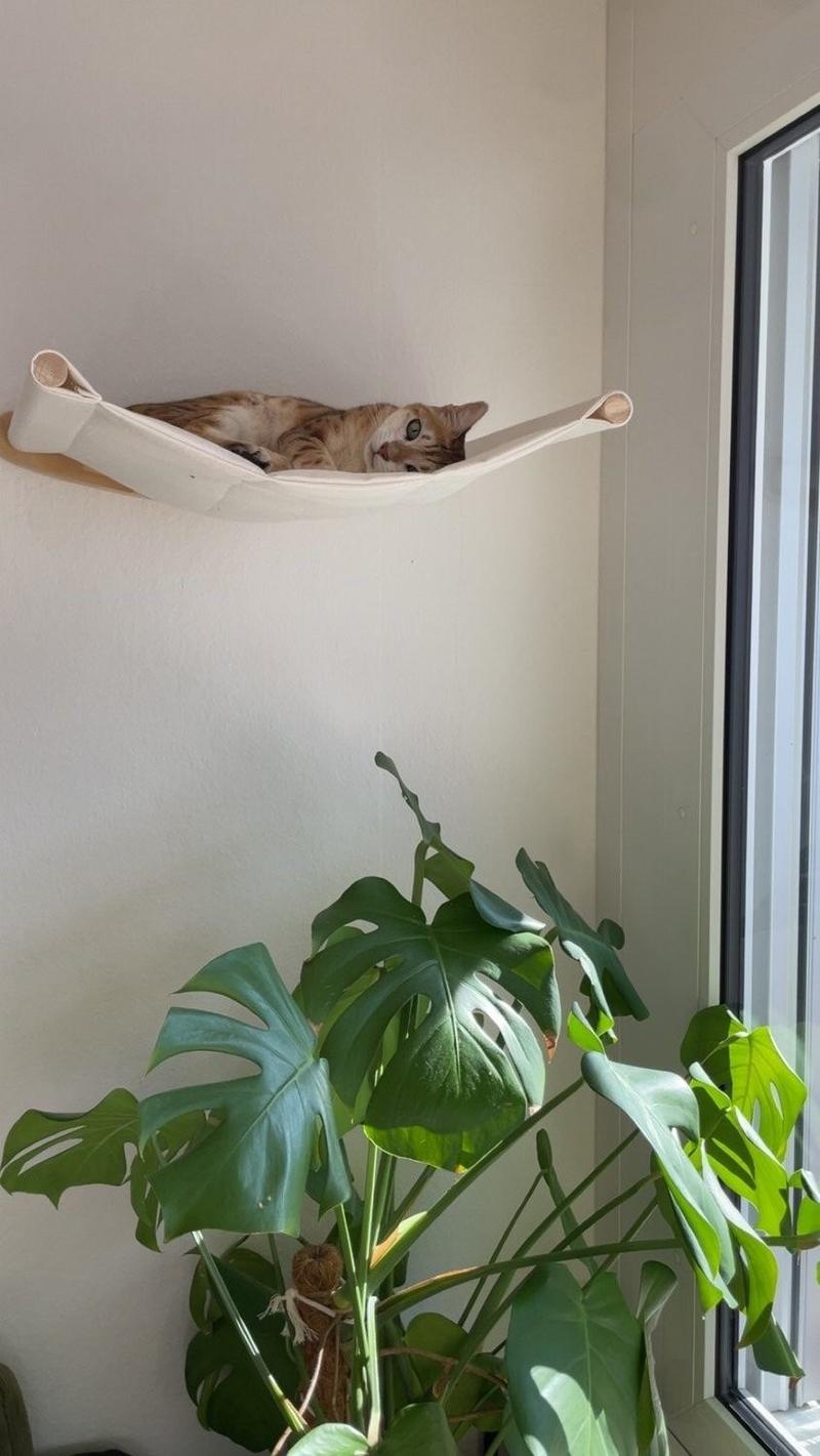 WG-Zimmer frei! (10)