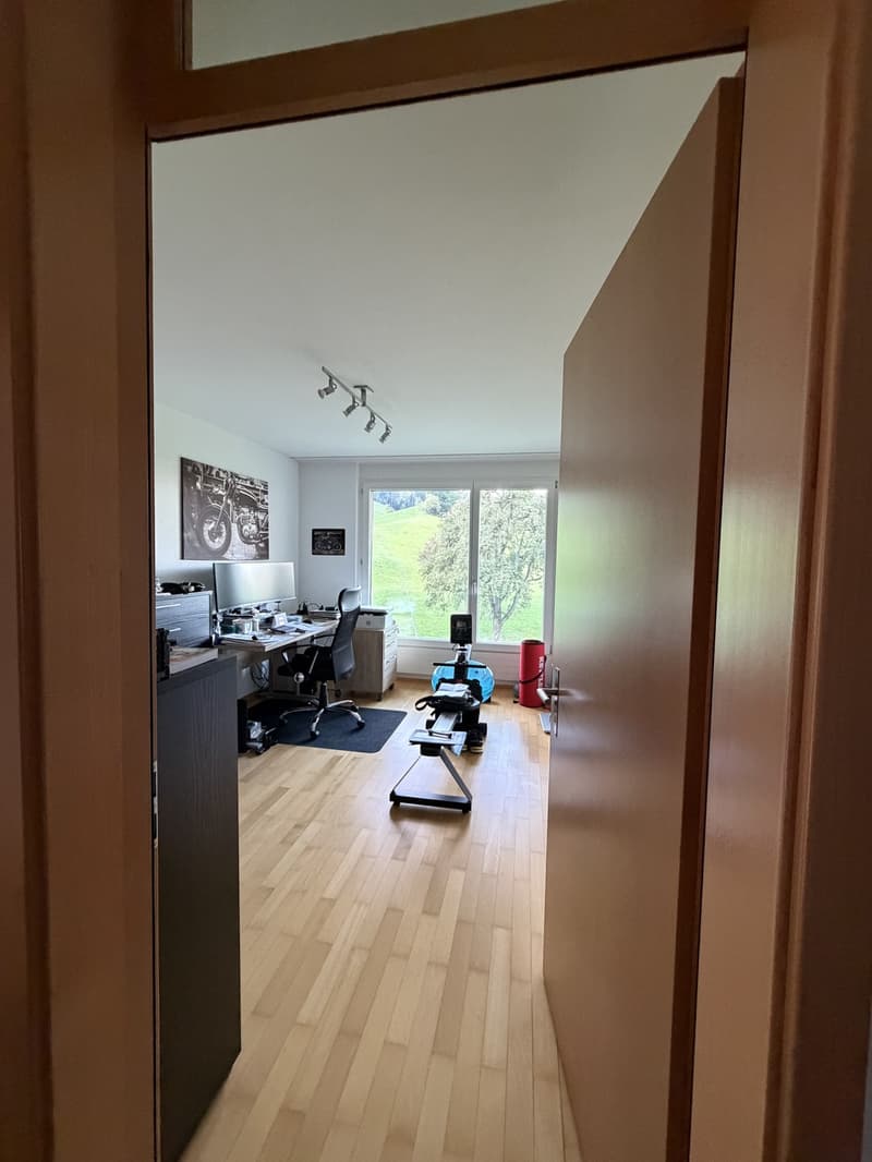 4½ Zimmerwohnung mit Bergsicht (9)