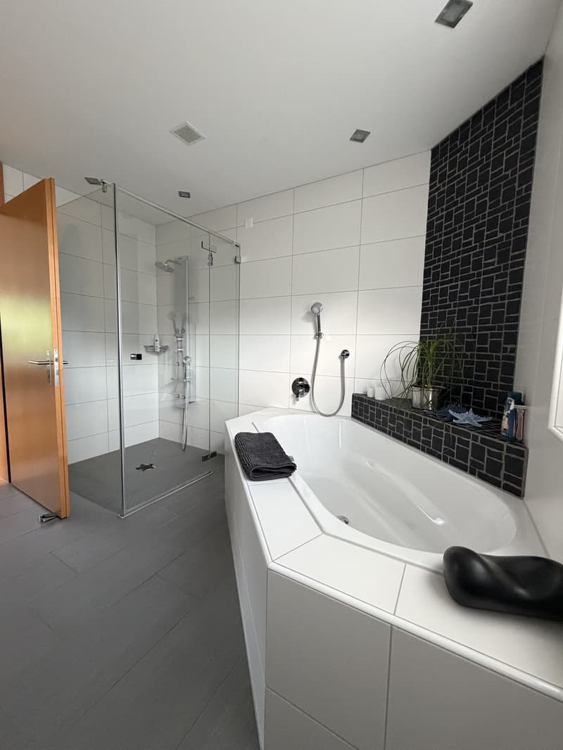 4½ Zimmerwohnung mit Bergsicht (4)