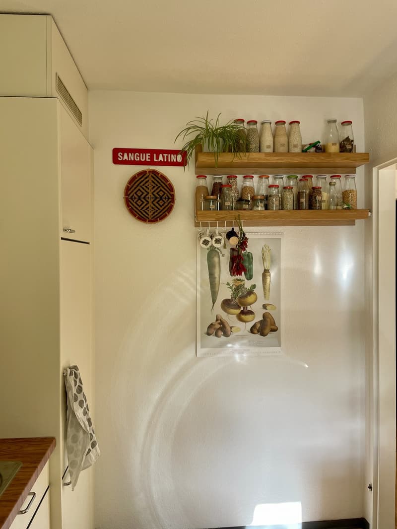 Cozy & Bright Sublet near Uetliberg (2.5 Rooms Available) (12)