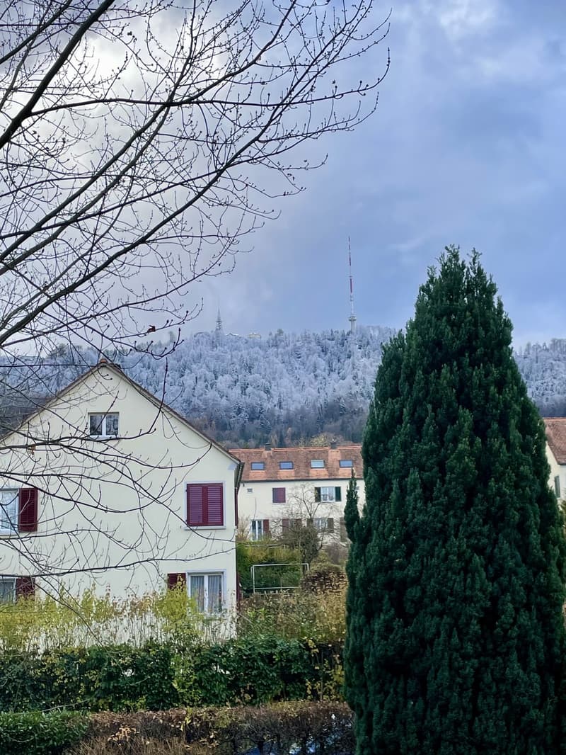 Cozy & Bright Sublet near Uetliberg (2.5 Rooms Available) (9)