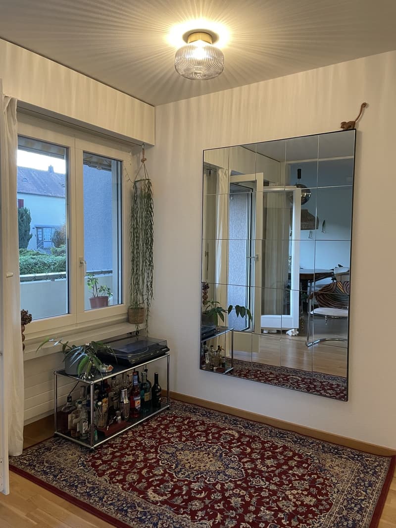 Cozy & Bright Sublet near Uetliberg (2.5 Rooms Available) (7)