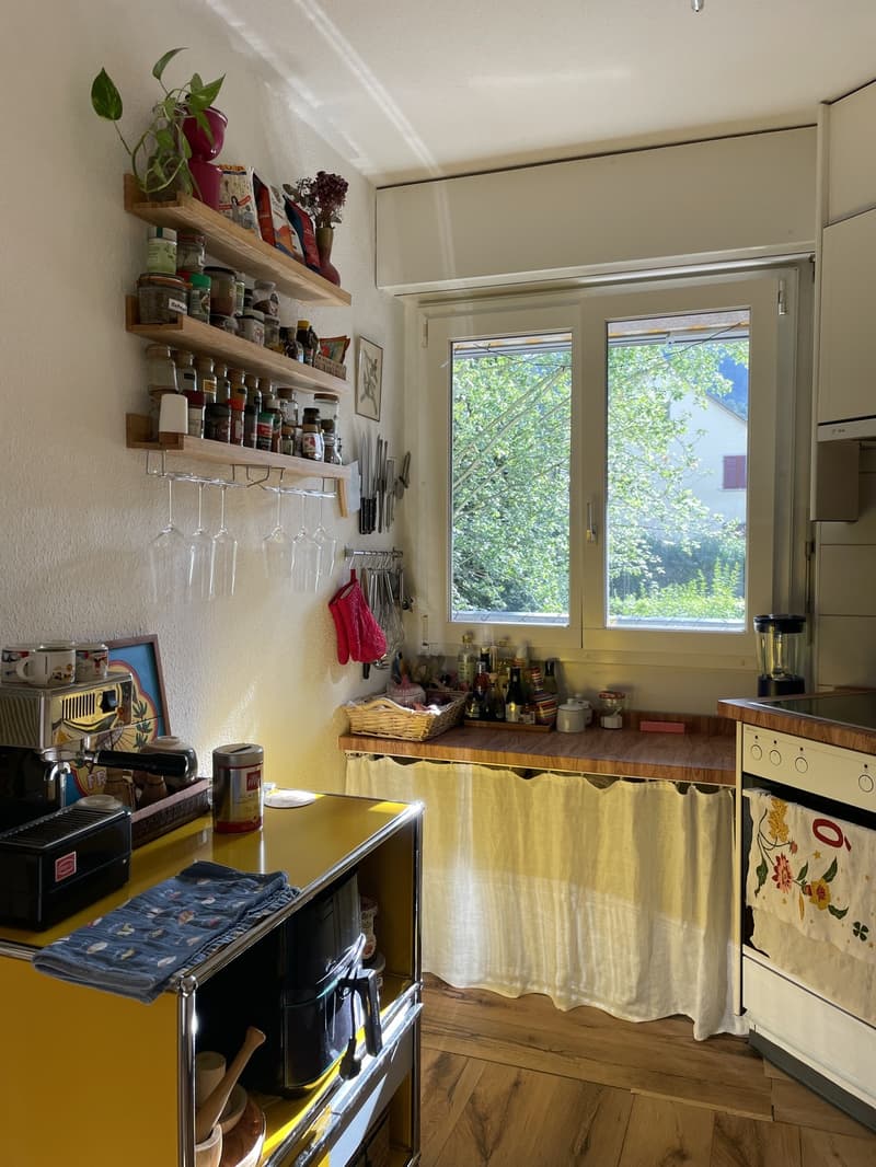 Cozy & Bright Sublet near Uetliberg (2.5 Rooms Available) (11)