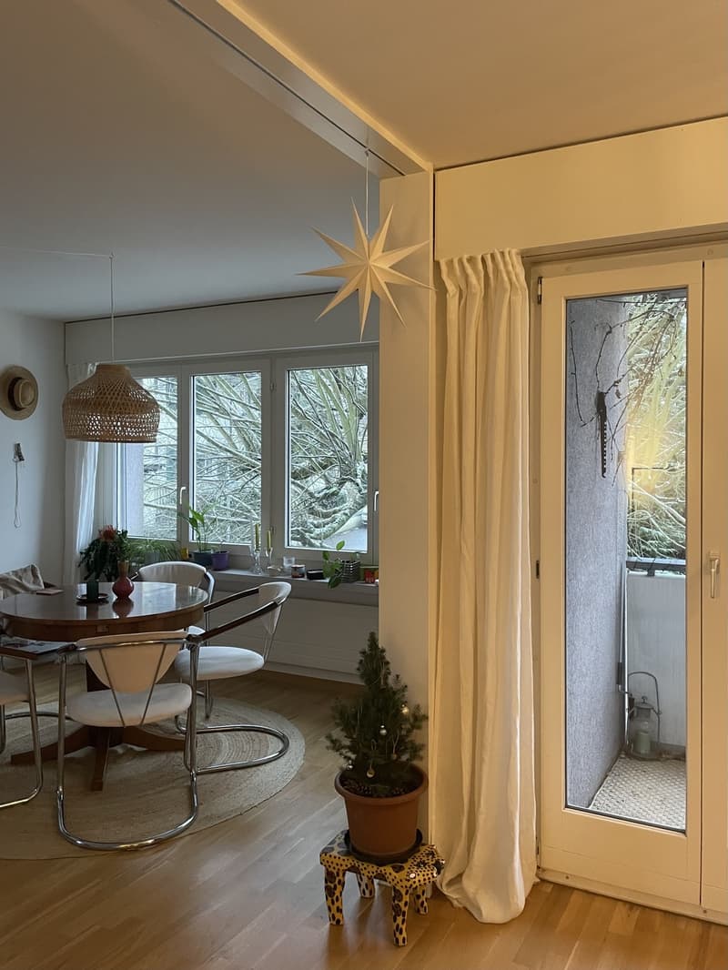 Cozy & Bright Sublet near Uetliberg (2.5 Rooms Available) (4)