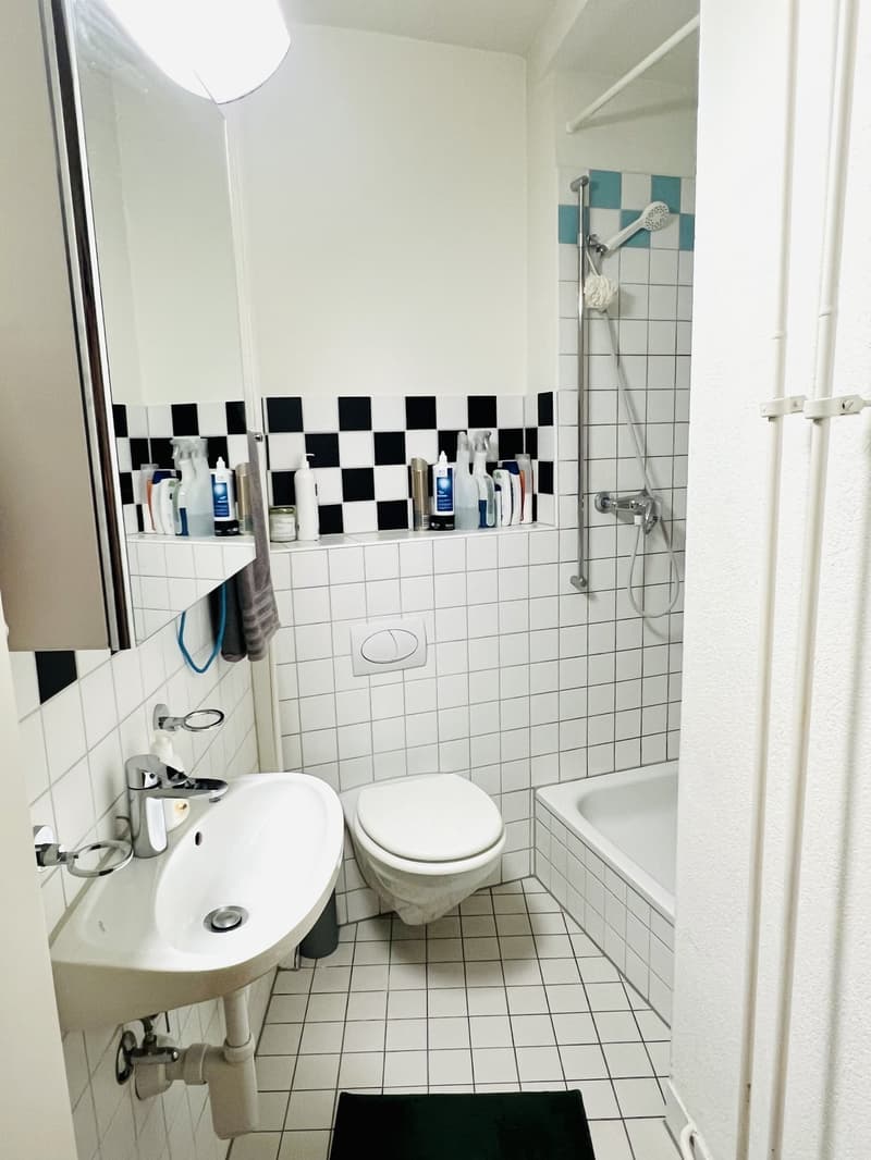 Cozy & Well-Located (Lochergut) 2.5-Room Apartment for Short-Term Sublet (5)