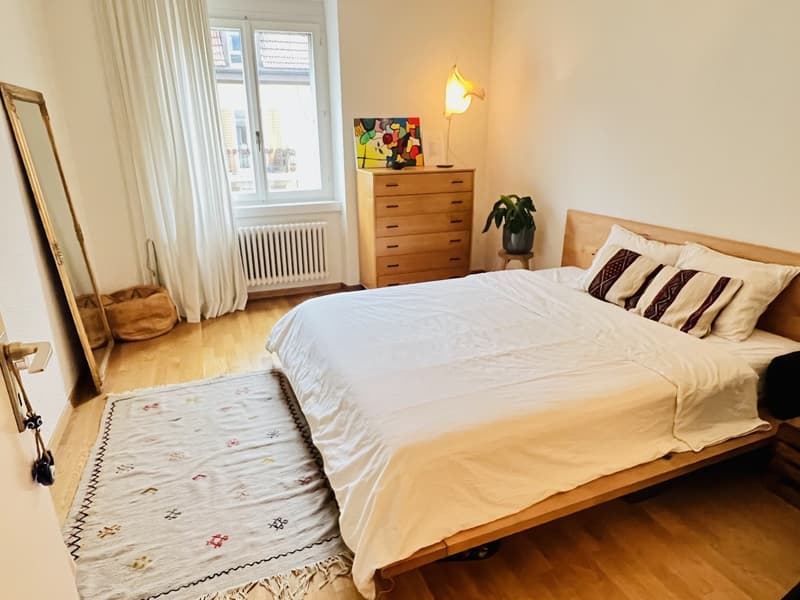 Cozy & Well-Located (Lochergut) 2.5-Room Apartment for Short-Term Sublet (3)