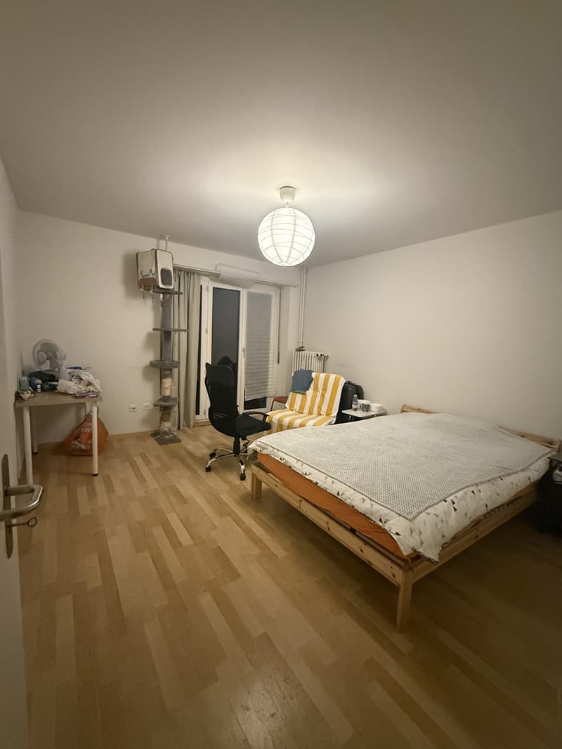 2.5-Zimmerwohnung im Erdgeschoss Garten, zentrale Lage, Olten (1)