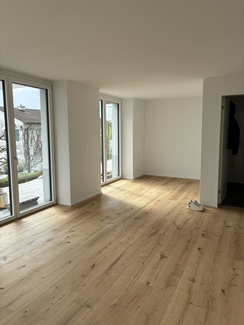 Studio with view of alps (4)