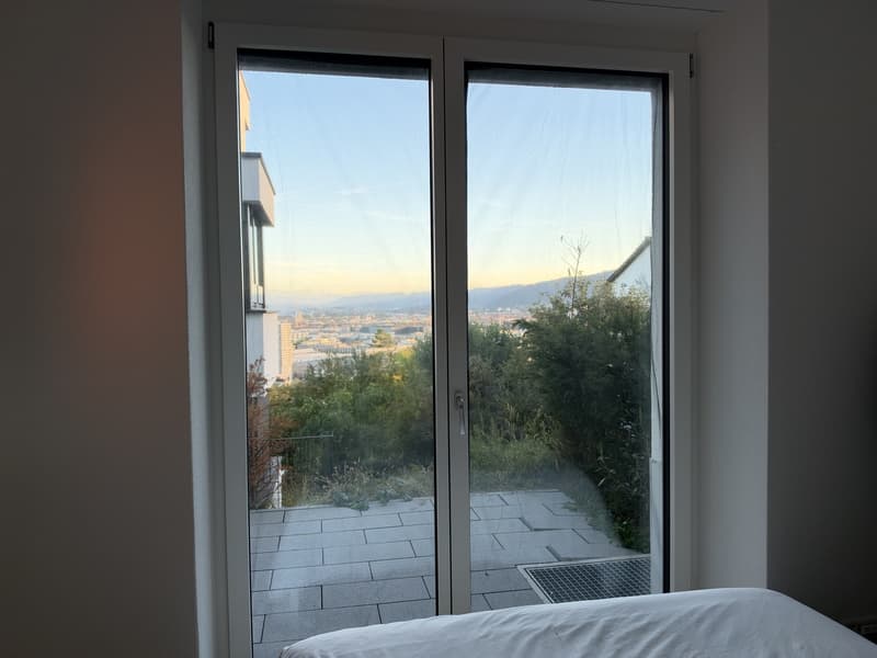 Studio with view of alps (3)