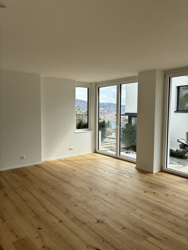 Studio with view of alps (12)