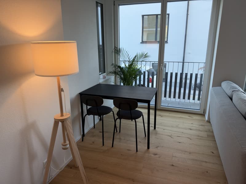 Studio with view of alps (13)