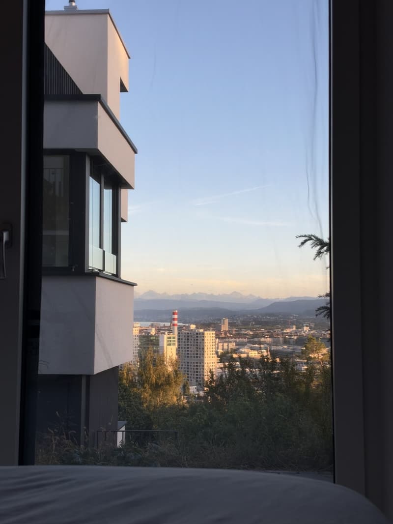 Studio with view of alps (2)