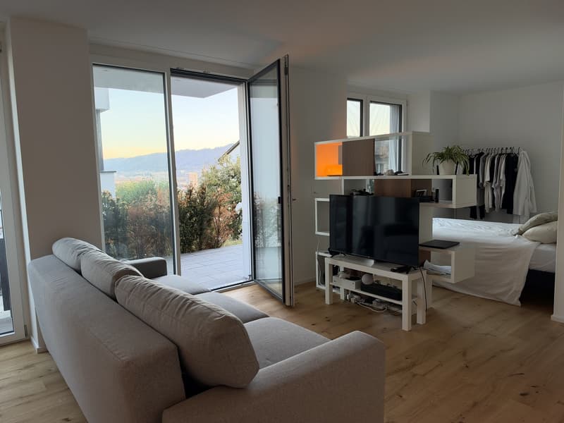 Studio with view of alps (9)