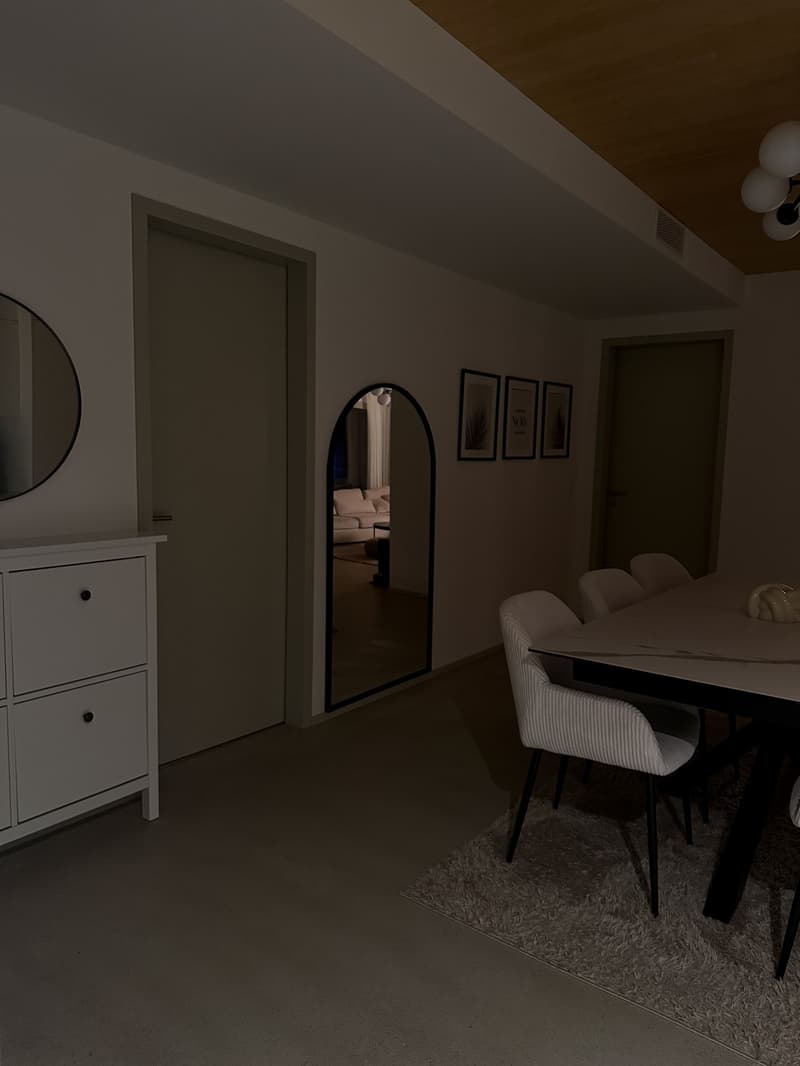 Befristet 2.5 Zimmer Wohnung (3)