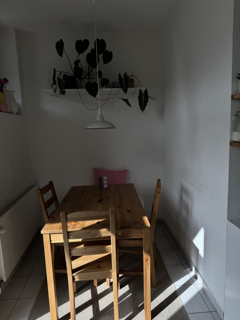 Subletting my beautiful room in Zurich Wiedikon (Kreis 3) (4)