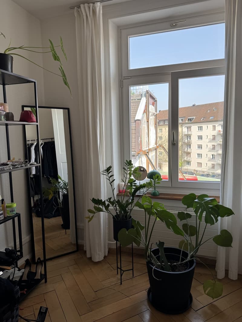 Subletting my beautiful room in Zurich Wiedikon (Kreis 3) (5)
