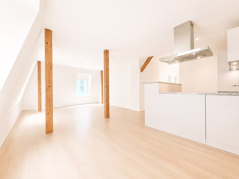 Quiet 3.5-Room Apartment Near Wiedikon Station (1)
