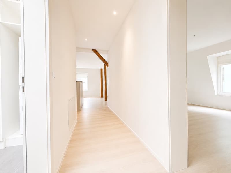 Quiet 3.5-Room Apartment Near Wiedikon Station (3)