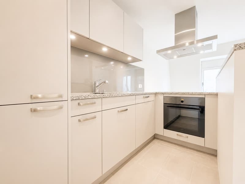 Quiet 3.5-Room Apartment Near Wiedikon Station (4)