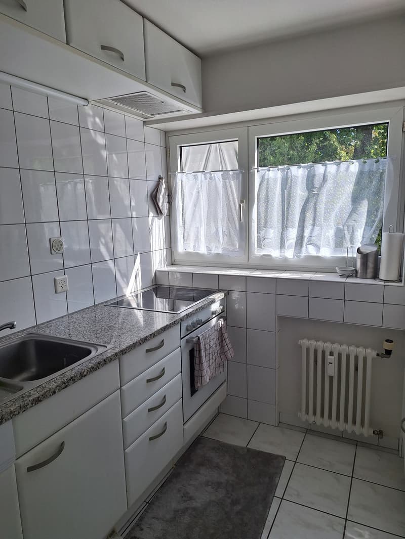 Helle, geräumige 3,5-Zimmer Wohnung in Buchs (AG) (3)
