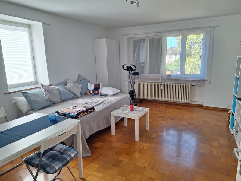 Helle, geräumige 3,5-Zimmer Wohnung in Buchs (AG) (4)