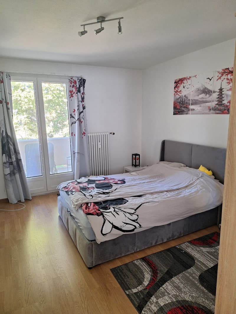 Helle, geräumige 3,5-Zimmer Wohnung in Buchs (AG) (5)