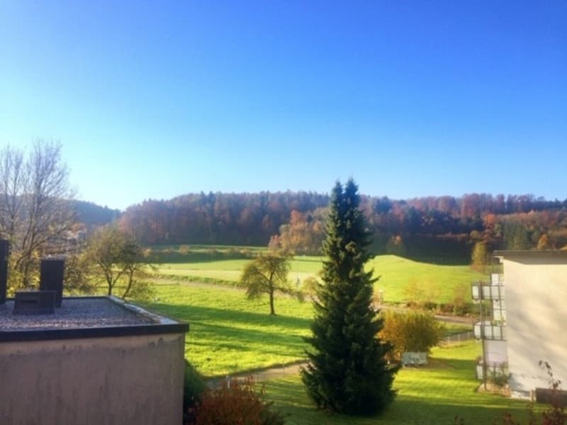 3.5 Zimmer Wohnung in Schwammendingen (2)