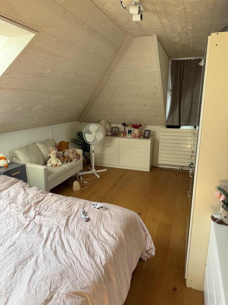 4,5 Zimmer Dachwohnung (Nachmieter nach Vereinbarung per sofort gesucht) (11)