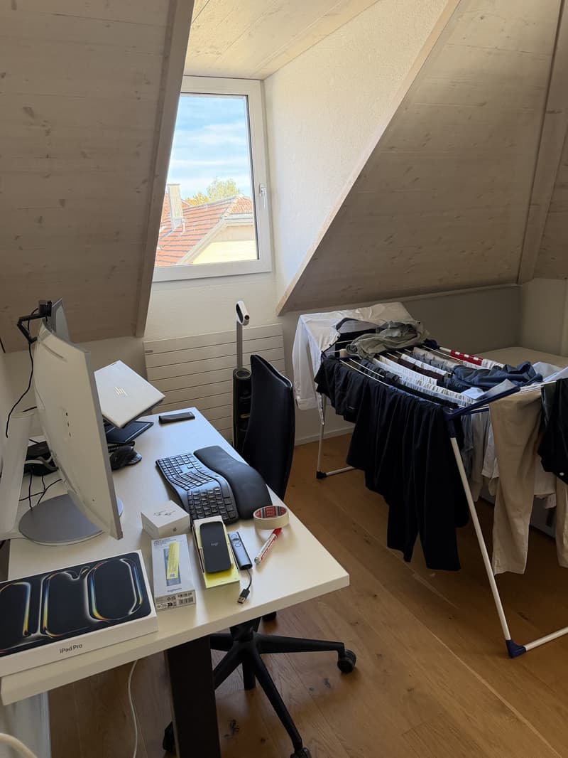 4,5 Zimmer Dachwohnung (Nachmieter nach Vereinbarung per sofort gesucht) (10)