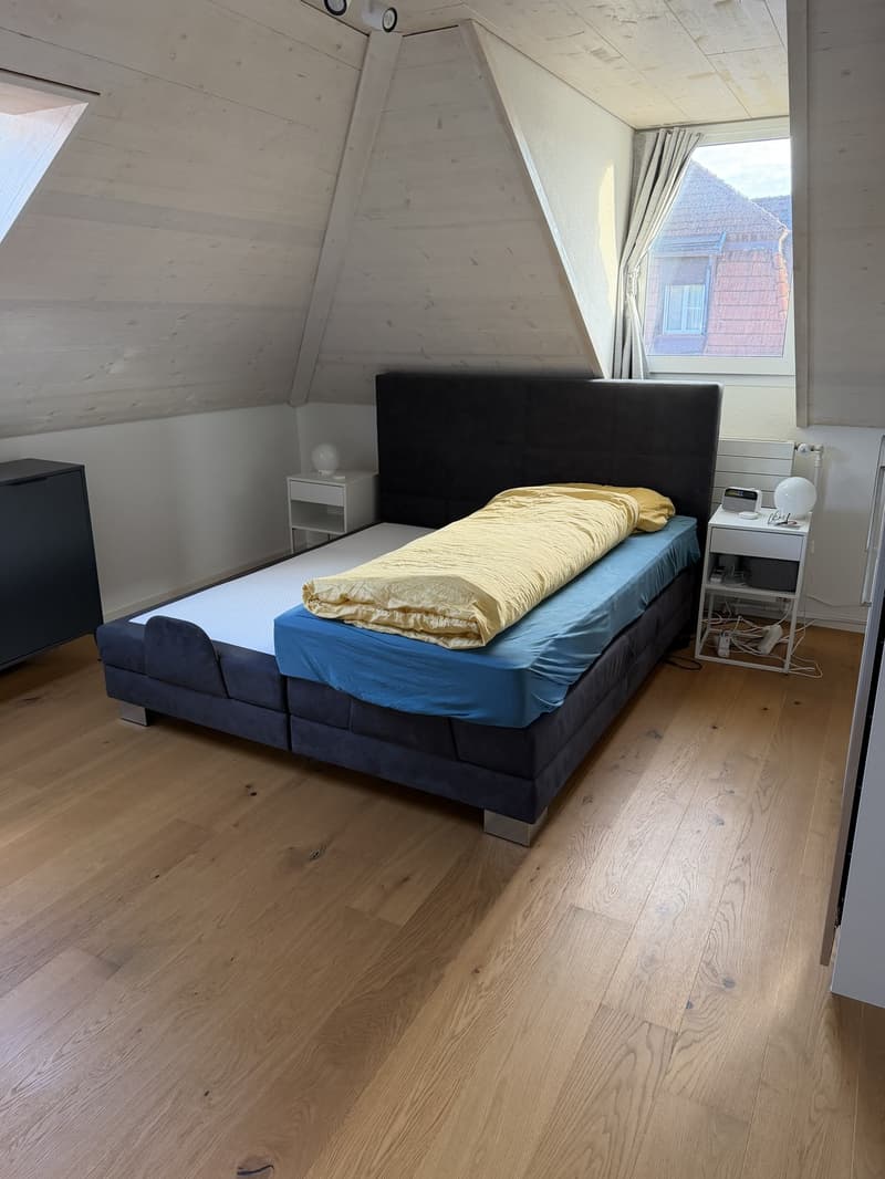 4,5 Zimmer Dachwohnung (Nachmieter nach Vereinbarung per sofort gesucht) (6)
