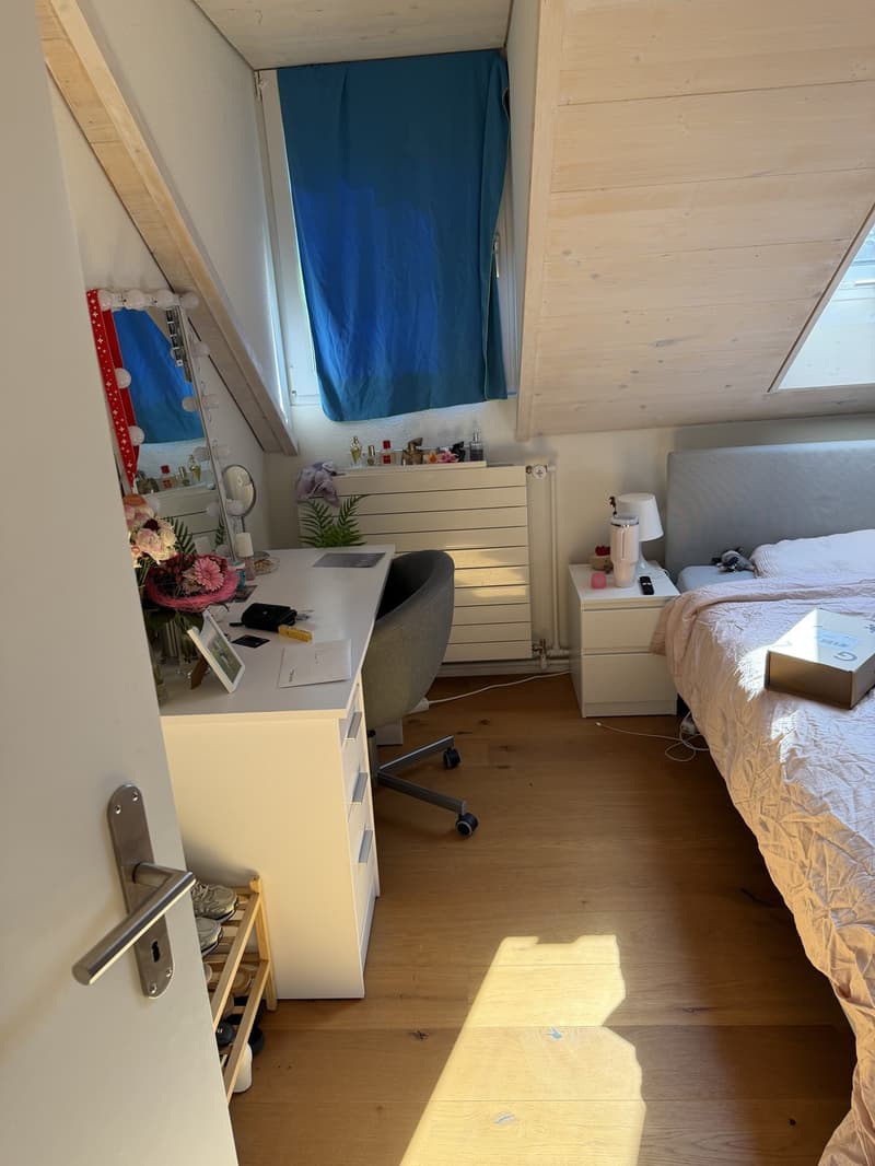 4,5 Zimmer Dachwohnung (Nachmieter nach Vereinbarung per sofort gesucht) (12)