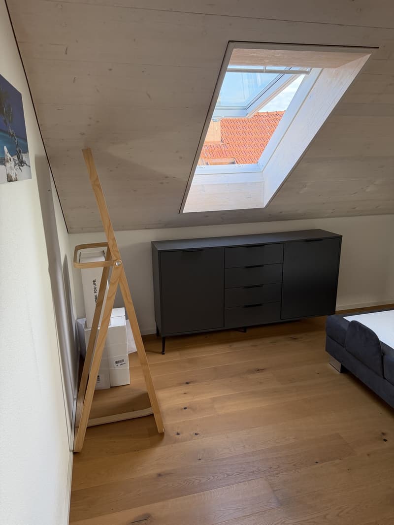 4,5 Zimmer Dachwohnung (Nachmieter nach Vereinbarung per sofort gesucht) (8)