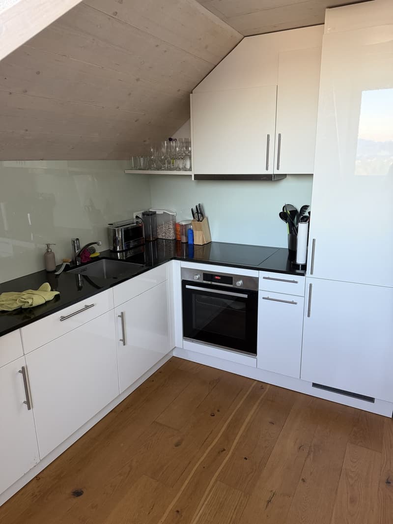 4,5 Zimmer Dachwohnung (Nachmieter nach Vereinbarung per sofort gesucht) (4)
