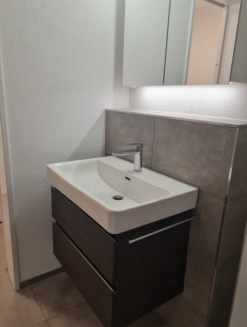Moderne 2.5 Zimmer-Wohnung mit grosser Terrasse (8)