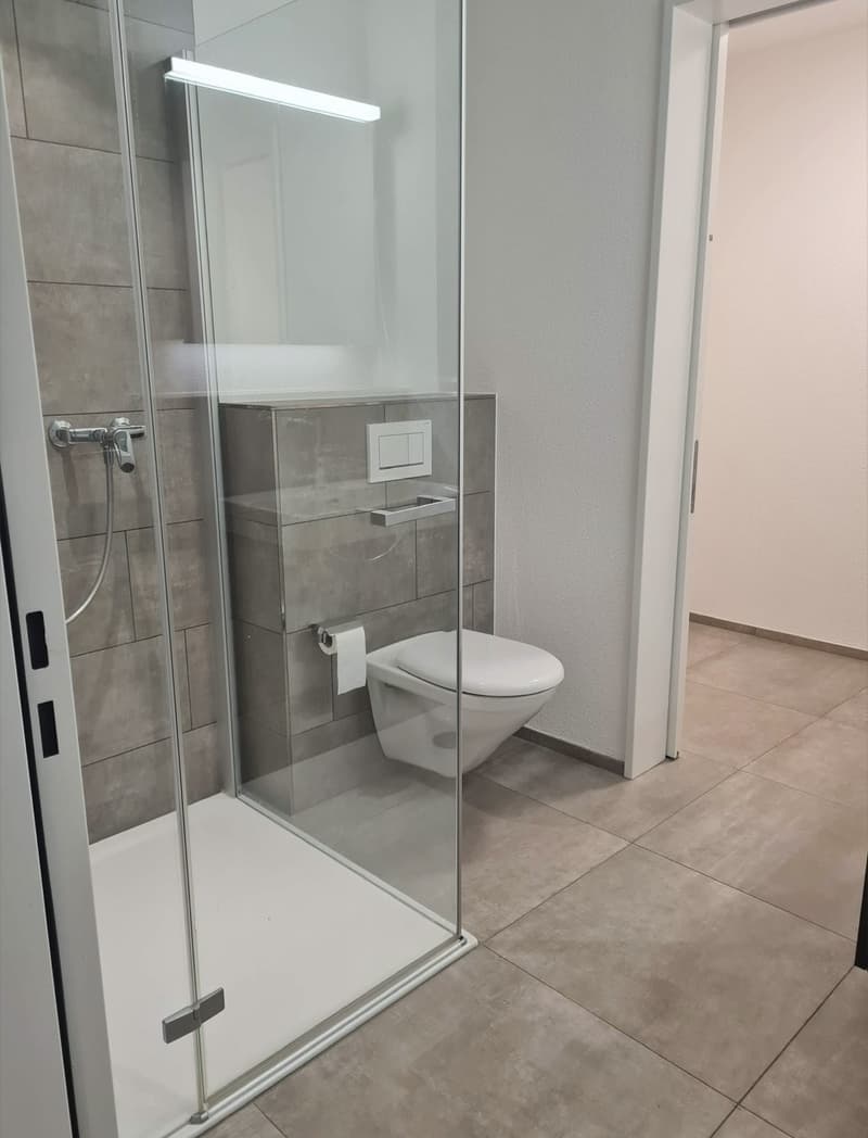 Moderne 2.5 Zimmer-Wohnung mit grosser Terrasse (7)