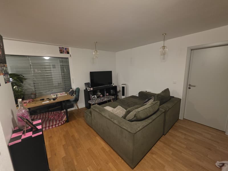 2.5 Wohnung (3)