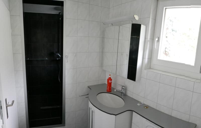 WG-Zimmer in geräumiger 3.5-Zimmer Wohnung (10)