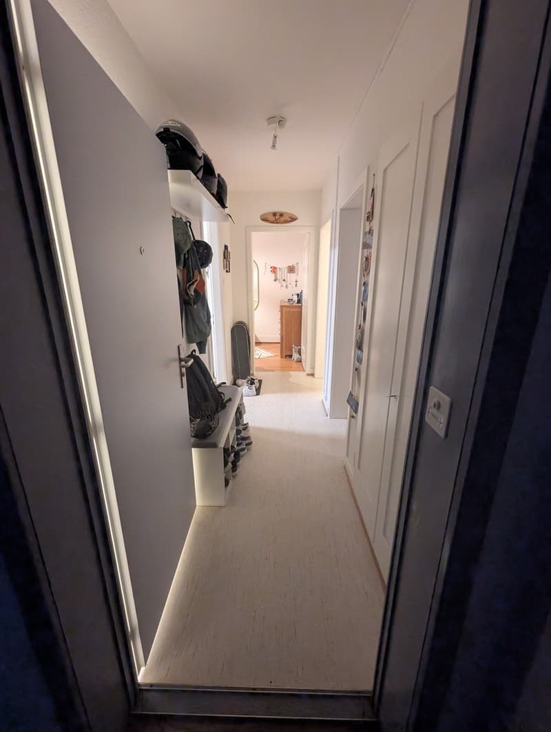 Möblierte 3.5-Zimmer-Wohnung in Zürich zur Untermiete (5)