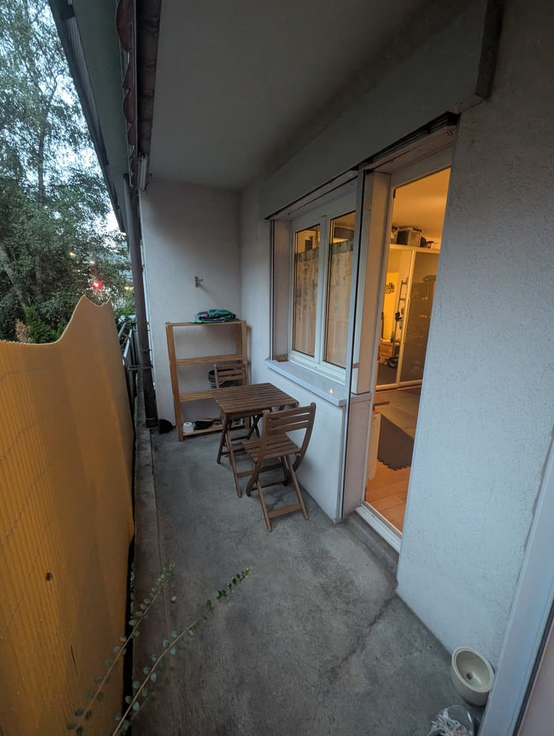 Möblierte 3.5-Zimmer-Wohnung in Zürich zur Untermiete (6)
