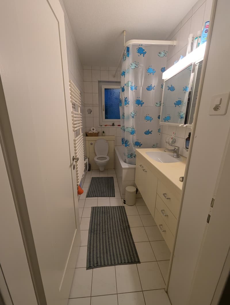 Möblierte 3.5-Zimmer-Wohnung in Zürich zur Untermiete (2)