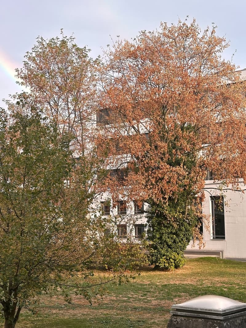 Schöne 3Zi Wohnung im Weissenbühl - Nachmieter ab 01.12.2026 (7)