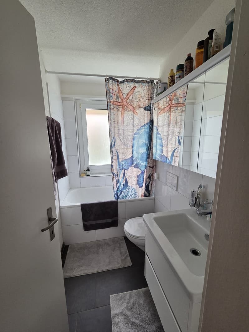 4.5 Zimmerwohnung mit Seeblick (11)