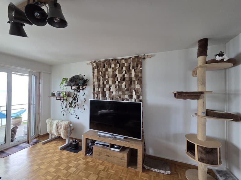 4.5 Zimmerwohnung mit Seeblick (6)
