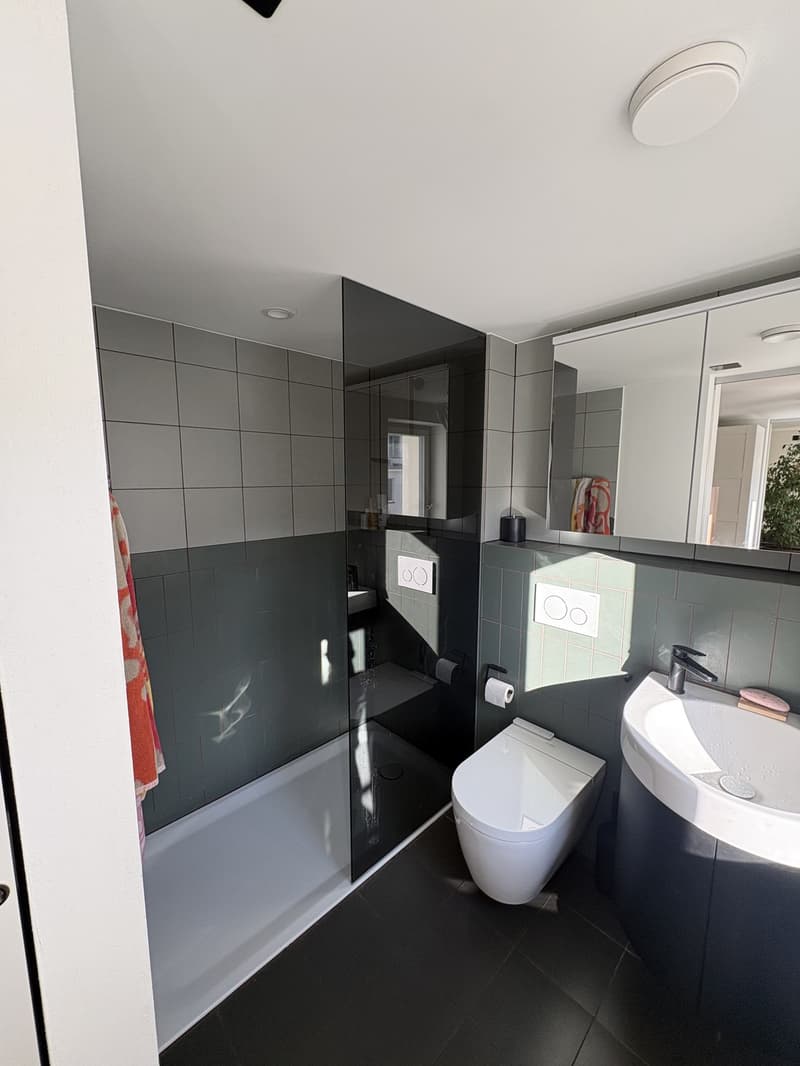 Wohnung direkt bei der Kapellbrücke (4)