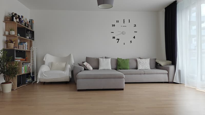 Room in a spacious 4.5-room apartment (4)