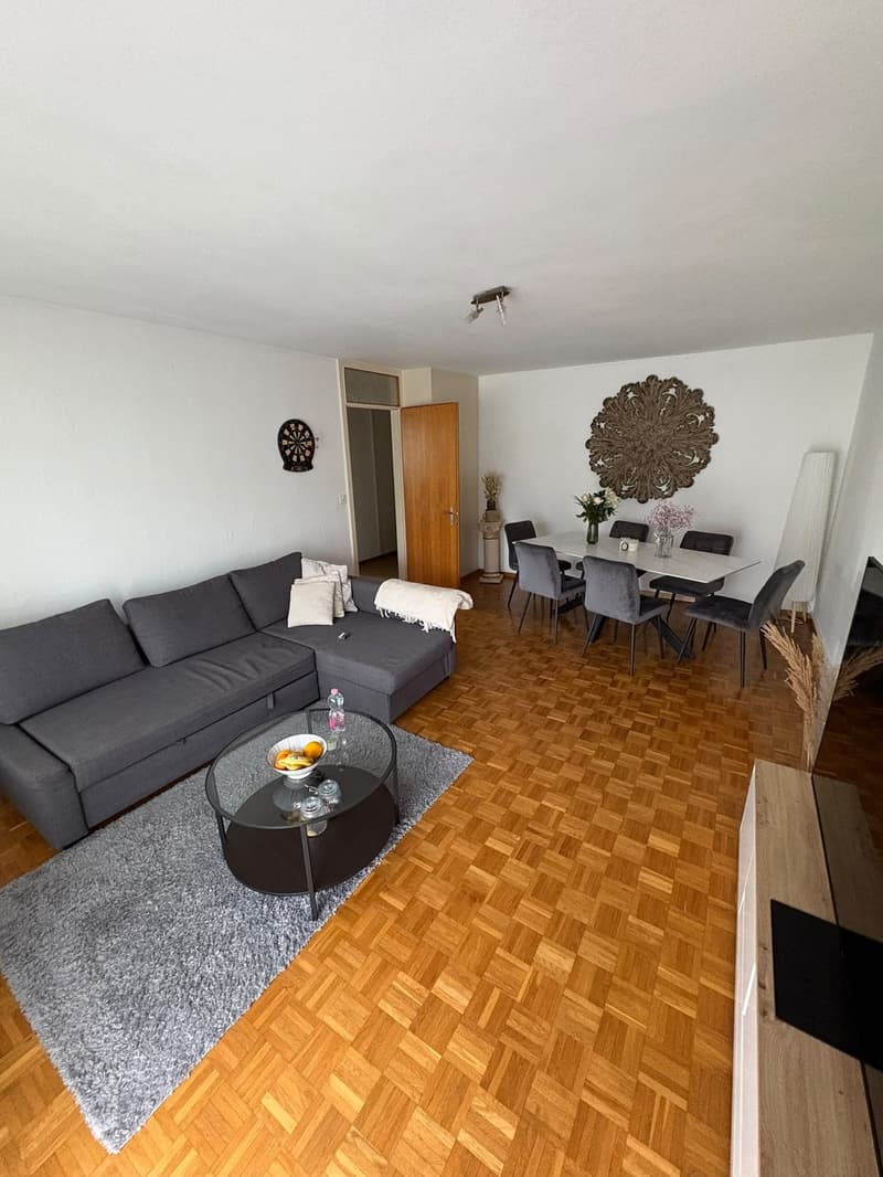 Ruhige 2-Zimmer-Wohnung mit Balkon in Steinmaur ab 01.11.2026 (1)