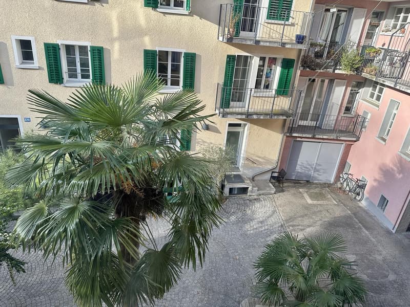 Female Flatmate Wanted Bright Room in a Charming Period Apartment (2)